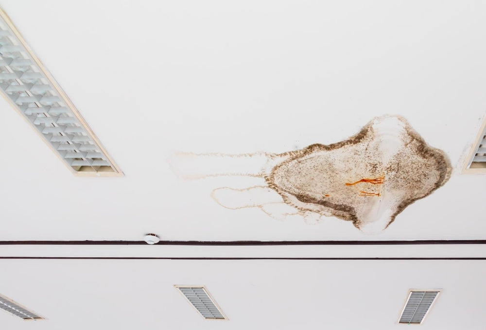 Recognizing Water Damage in Paint