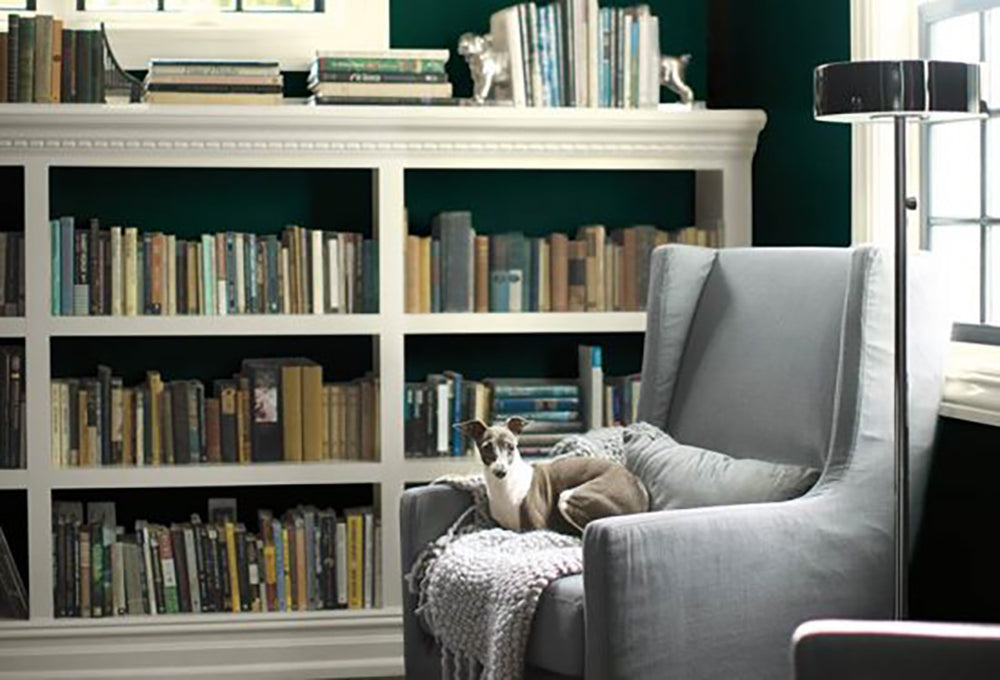 Color Trends: Using Metropolitan AF-290