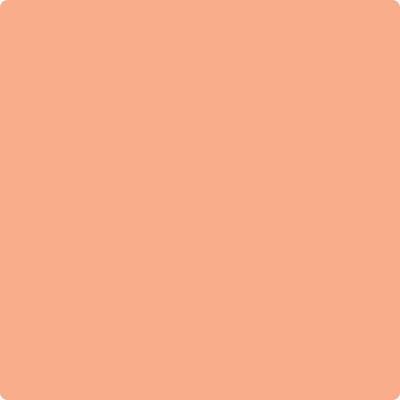 081 Intense Peach a Paint Color by Benjamin Moore | Mallory Paint