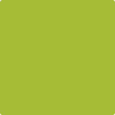 ライム0528。 Rainskateswheels - Lime Green/92a