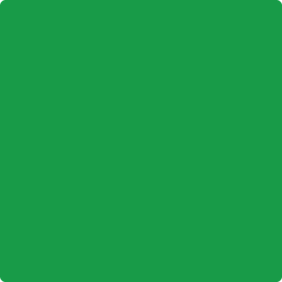 2032-10 Neon Green a Paint Color by Benjamin Moore | Mallory Paint
