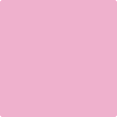 2078-50 Pink Begonia a Paint Color by Benjamin Moore | Mallory