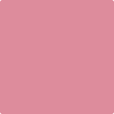 2081-60 Pink Lace - Paint Color