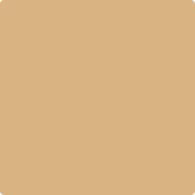 Shop Benajmin Moore's 2165-40 Dark Beige at Mallory Paint Stores. Washington & Idaho's favorite Benjamin Moore dealer.