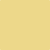 Shop Benajmin Moore's 291 Laguna Yellow at Mallory Paint Stores. Washington & Idaho's favorite Benjamin Moore dealer.