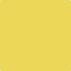 Shop Benajmin Moore's 355 Majestic Yellow at Mallory Paint Stores. Washington & Idaho's favorite Benjamin Moore dealer.