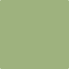 Shop Benajmin Moore's 432 Grenada Green at Mallory Paint Stores. Washington & Idaho's favorite Benjamin Moore dealer.