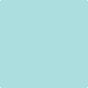 Shop Benajmin Moore's 730 San Clemente Teal at Mallory Paint Stores. Washington & Idaho's favorite Benjamin Moore dealer.