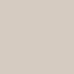 CC-458 Mocha Cream a Paint Color by Benjamin Moore | Mallory Paint