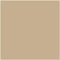 HC-44 Lenox Tan a Paint Color by Benjamin Moore | Mallory Paint Store