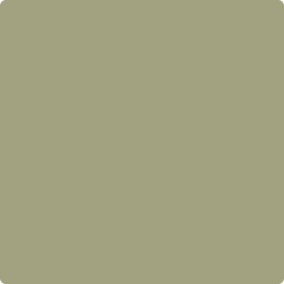 AF-405 Thicket a Paint Color by Benjamin Moore | Mallory Paint Store