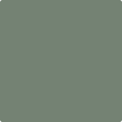 af-475-lush_240x.png?v=1617807140