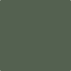 af-480-borealforest_240x.png?v