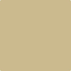CC-240 Late Wheat