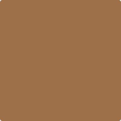 CC-272 Spiced Rum a Paint Color by Benjamin Moore | Mallory Paint
