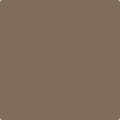 CSP-265 Kentucky Birch