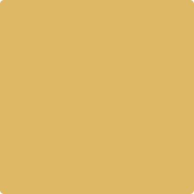 Gold Yellow Gold Yellow
